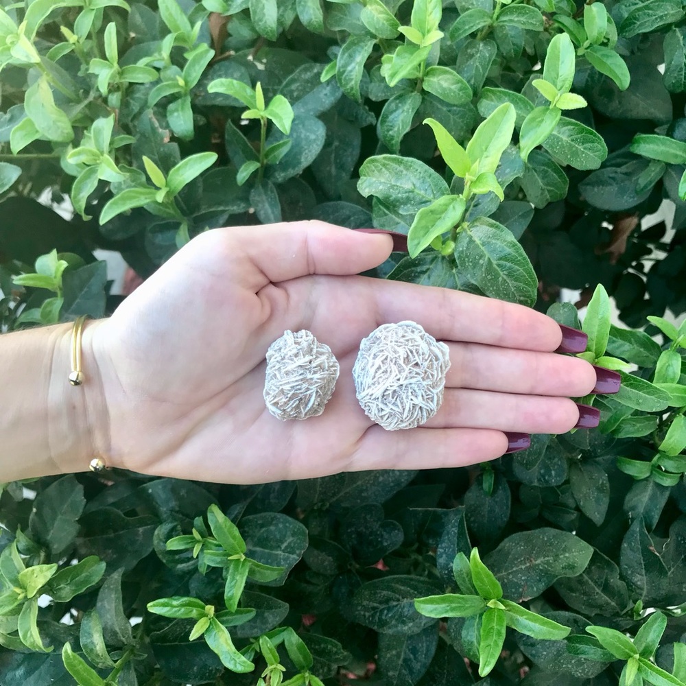 Desert Rose Selenite Clusters 🌹